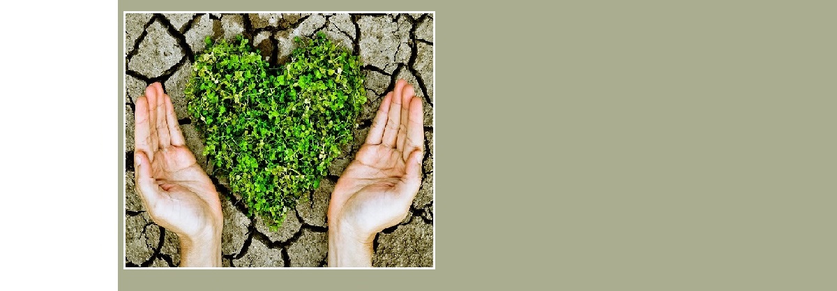 My Green Score Renewable Energy Conservation Green Technology Green Social Networking